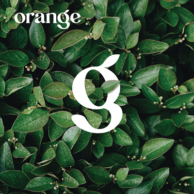 orange abstract branding lettering logo logotype orange wordmark