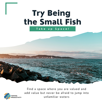 Small Fish inspirational leadership minimalistic