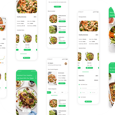 Healthy And Dietary Programs Journey (Mobile App) mobile apps design product design saas systems design ui ui design ux ux design