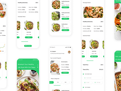 Healthy And Dietary Programs Journey (Mobile App) mobile apps design product design saas systems design ui ui design ux ux design