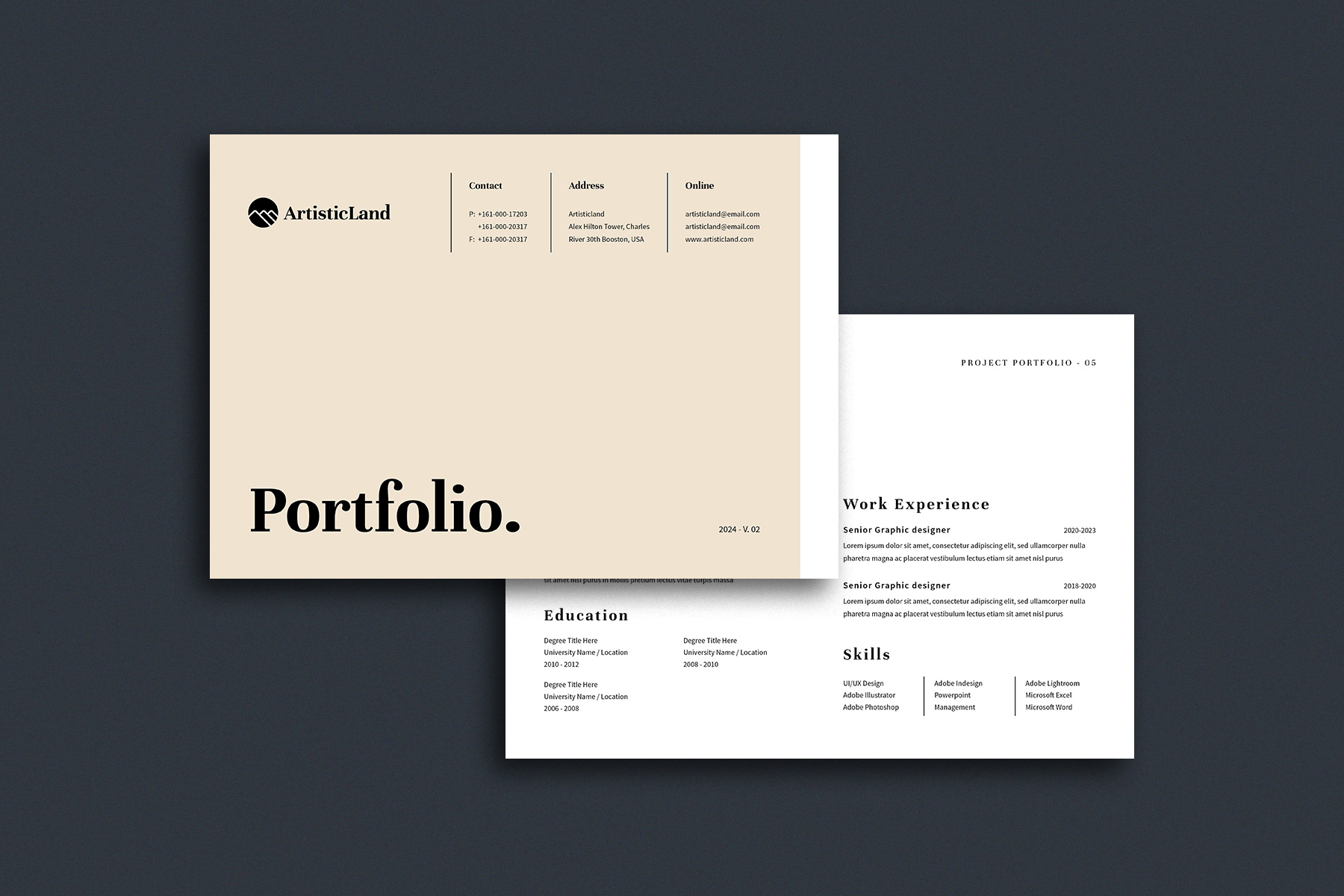 Example of Professional Portfolio Template