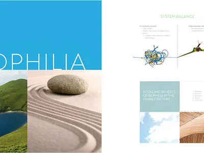 Biophila Design System art direction branding brochure design system graphic design illustration presentation strategy typography ui