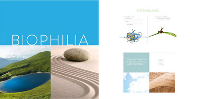 Biophila Design System art direction branding brochure design system graphic design illustration presentation strategy typography ui