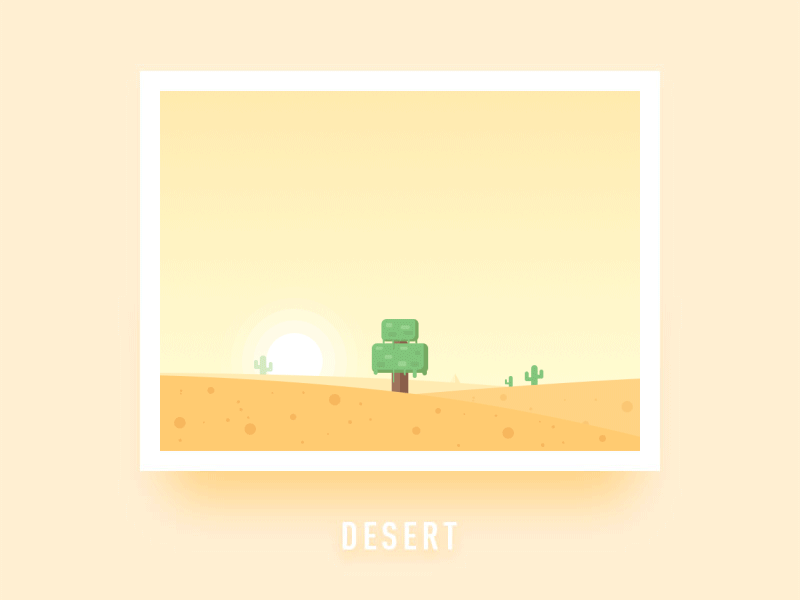 Desert animation graphic design motion graphics