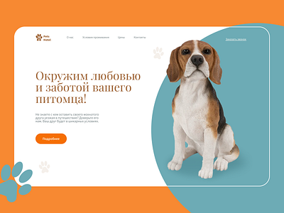 Concept Pets Hotel! concept creative design interface landing ui website