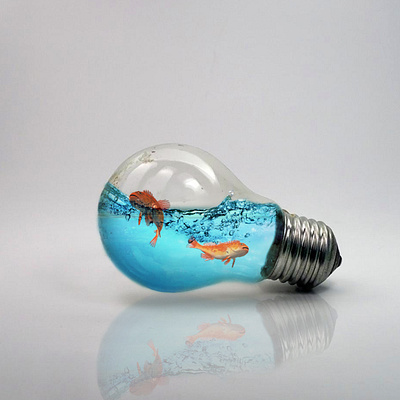 Fish in a light bulb adobe illustrator designer digital illustration editing fish bulb graphic design graphic designer graphics illustration photo manipulation vector