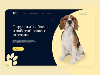 Concept Pets Hotel! concept creative design interface landing ui web website