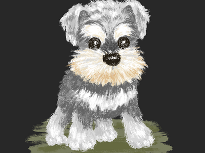 Miniature Schnauzer animal character dog illustration pet puppy