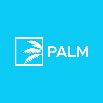 Logo Design for Palm Investment Management brand identity branding commission corporate identity design freelance work graphic design logo logo design logo design branding logo designer palm vector