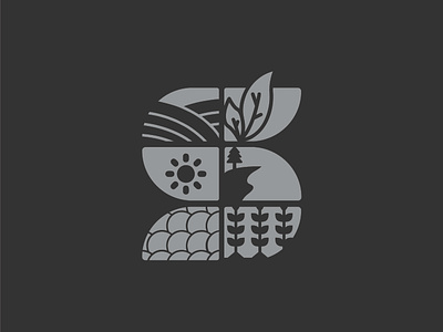 "S" Logo branding design graphic design illustration logo typography