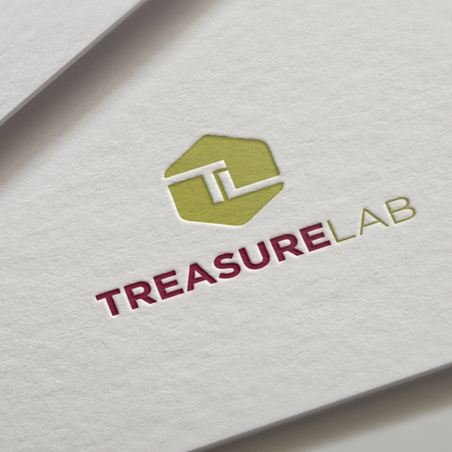 Letter TL Logo app brand identity branding business card design bussines card design graphic design illustration letter tl logo logo design tl logo typography ui ux vector