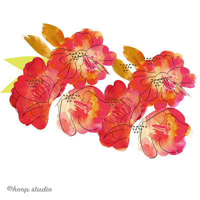 Peony flower -Study for Textile Design illustration