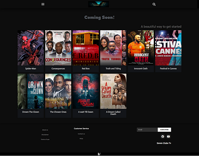 Custom Movie Streaming Website website website design wordpress