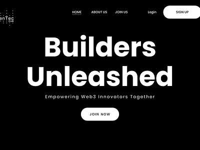 #003 - Landing Page branding ui