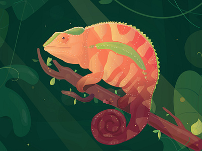 Chameleon Jungle Illustration appdesign chameleon coaching webapp design illustration jungle ui