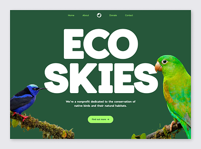 Eco Skies - Bird Charity Website avian bird birds bold charity clean design eco exotic green imagery landing page large type sky tropical typography ui web design website white