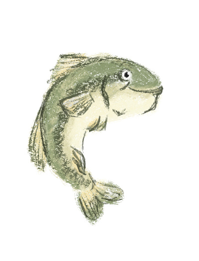 Cartoon styled fish cartoon child digitalillustration fish illustration kids