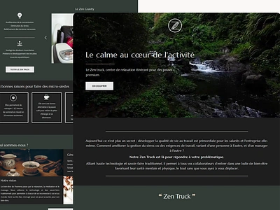 Landing Page, nap bar, wellness institute landing page web design