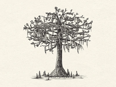 Bald Cypress tree with hanging Spanish Moss bald cypress tree cypress drawing hand drawn illustration ink nature spanish moss swamp tree