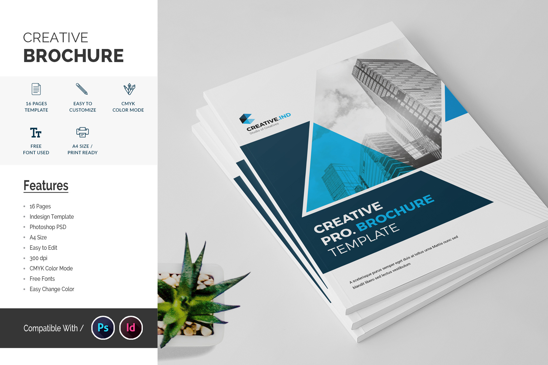 Company Brochure 16 Pages brand branding brochure brochure design brochure template company company template corporate brochure creative design graphic design print print design template