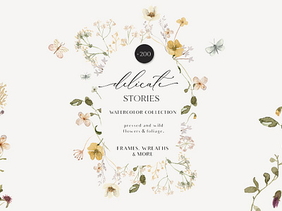 Delicate Stories Wildflower set delicate delicate flowers field flowers field spring flowers watercolor floral wild flowers wildflowers