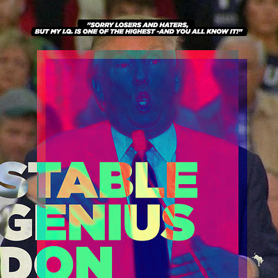 Stable Genius Don