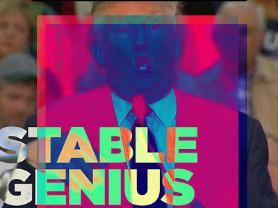 Stable Genius Don