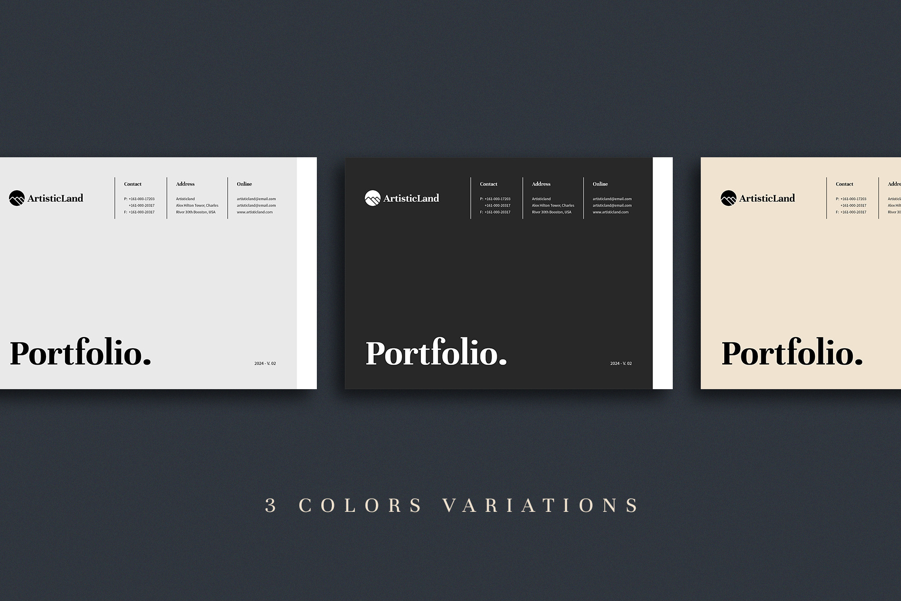 Example of Professional Portfolio Template