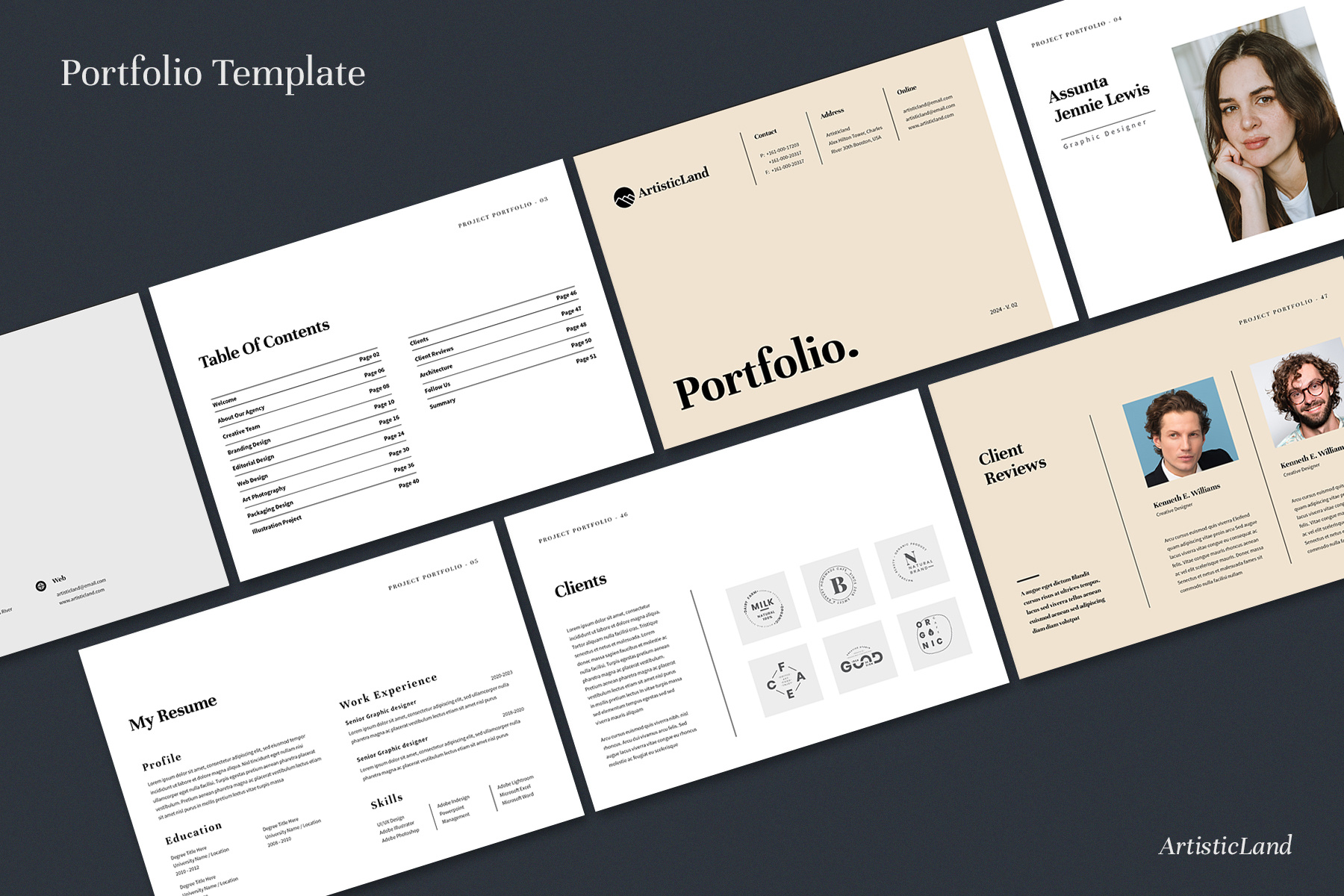 Example of Professional Portfolio Template