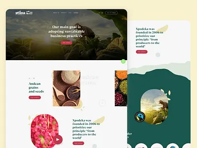 Xpodeka design digital graphic design mobile nature superfoods ui web web design