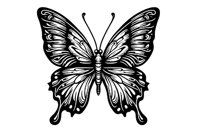 Butterfly SVG design