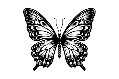 Butterfly SVG clipart design