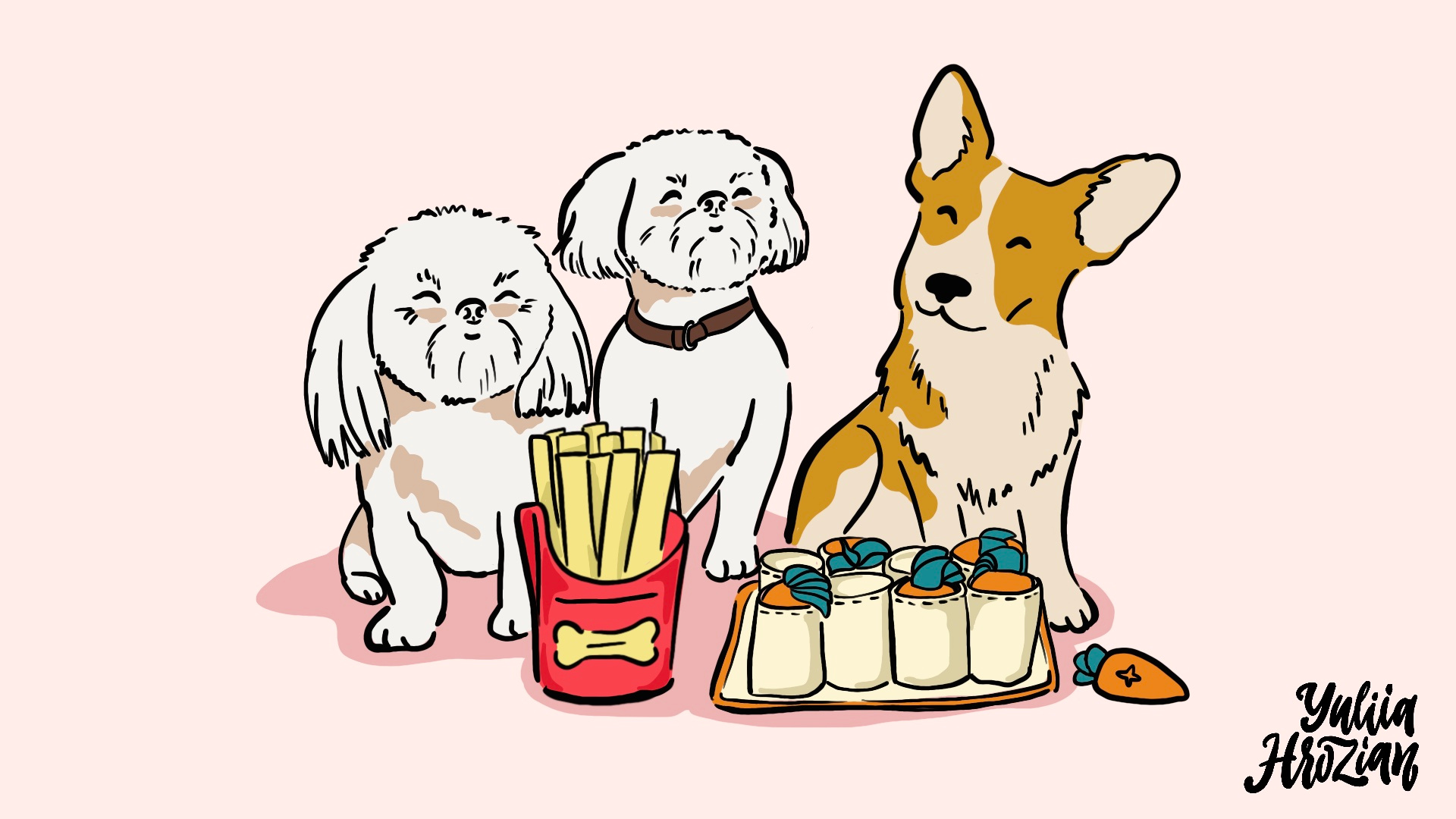 Illustration for a Pet Products Store character corgi dog illustration illustrator pet pet product pet store pet toys procreate vector