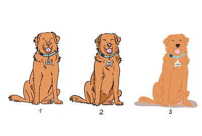 Brand Mascot Illustration research character character illustration dog golden retriever illustrator mascot pet pet products procreate retriever