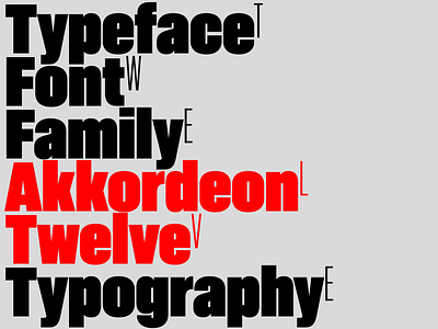 Akkordeon typeface black branding font fonts graphic design grey logo red sans typeface typography ui