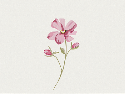 Pink Flower - Illustration design digital illustration drawing floral flower flower drawing flower illustration fresko illustration nature pink