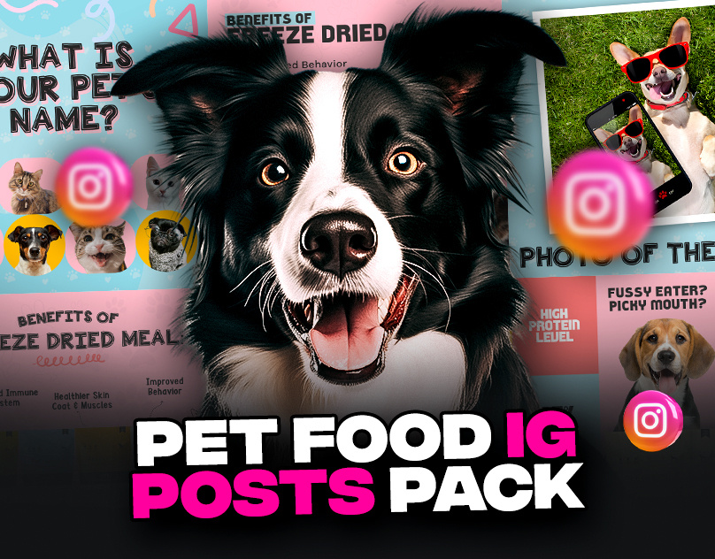 Pet Food Instagram Posts Pack advertisement design expert graphic designer fb ads graphic designer instagram carousel instagram feed instagram posts posts social media carousel social media designs social media posts