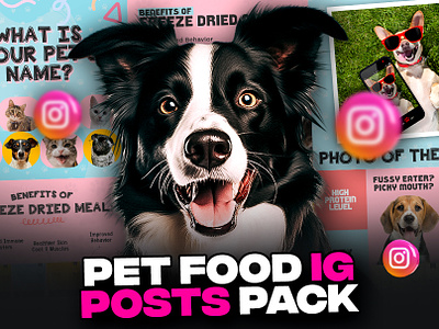 Pet Food Instagram Posts Pack advertisement design expert graphic designer fb ads graphic designer instagram carousel instagram feed instagram posts posts social media carousel social media designs social media posts