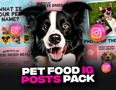 Pet Food Instagram Posts Pack advertisement design expert graphic designer fb ads graphic designer instagram carousel instagram feed instagram posts posts social media carousel social media designs social media posts