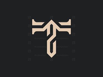 TZ Monogram Logo art branding design flat graphic design illustration initial letter logo minimal modern moogram s simple t ts tz ui vector z