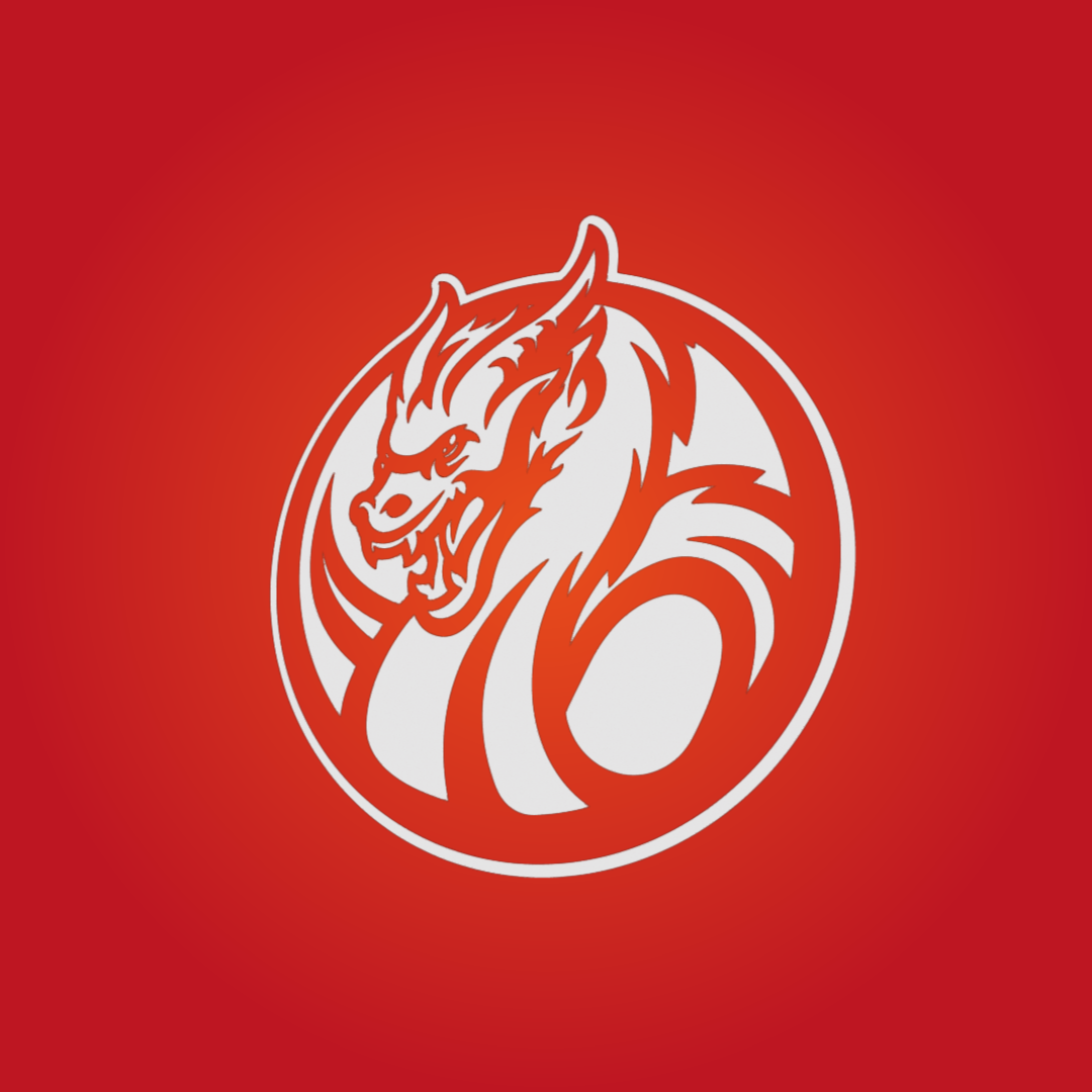 Dragon Rage by Josh logo designer on Dribbble