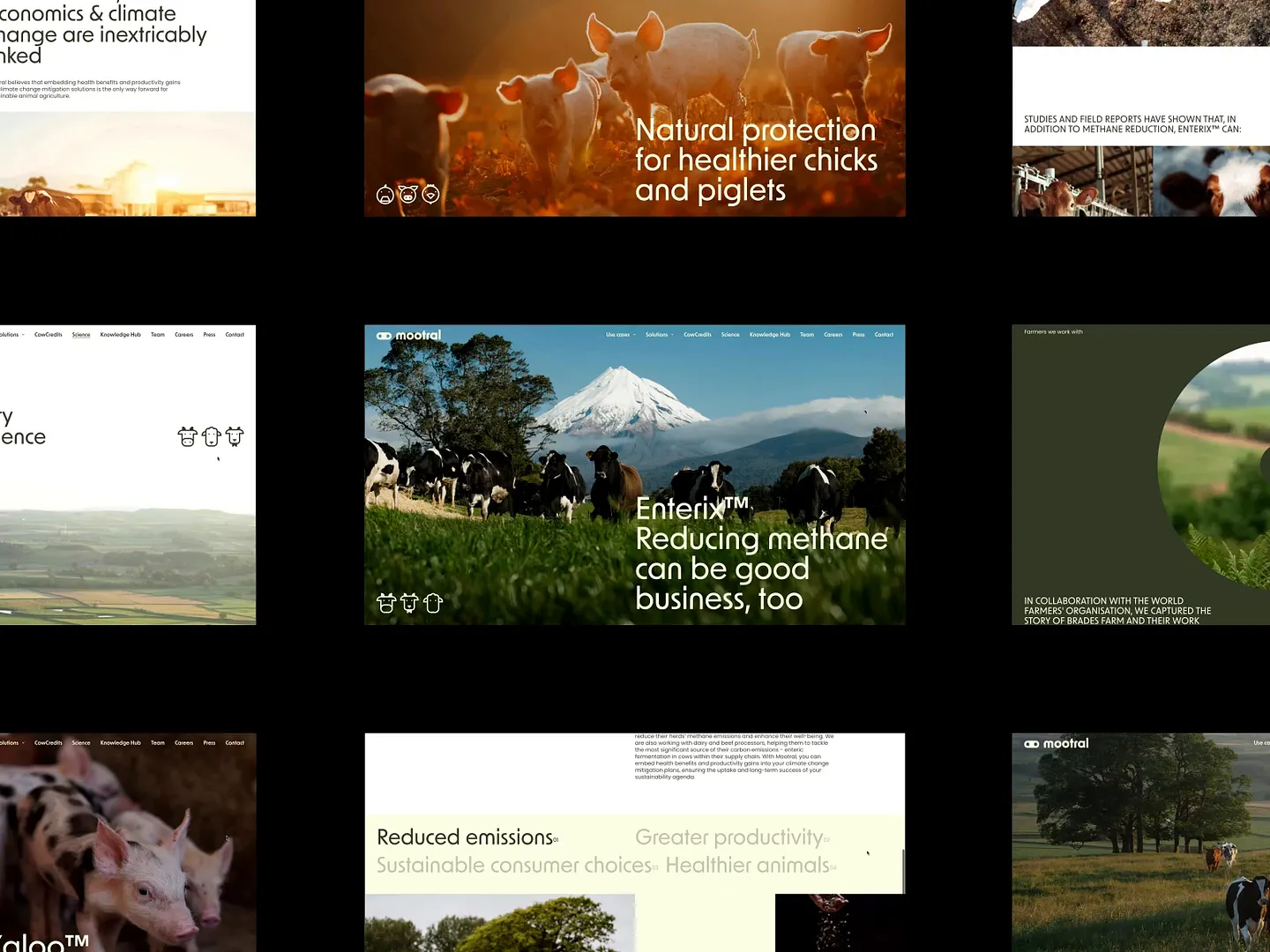 Innovative Supplement Website Design for Sustainable Agriculture