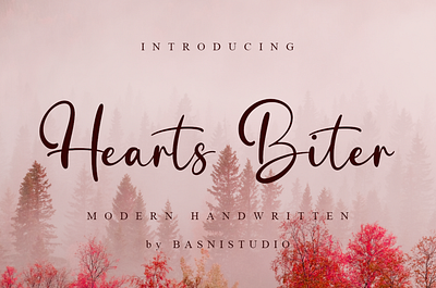 Hearts Biter a Modern Handwritten Font brand identity branding design font graphic design illustration logo typography vector