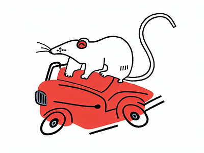 Rat and in the red car