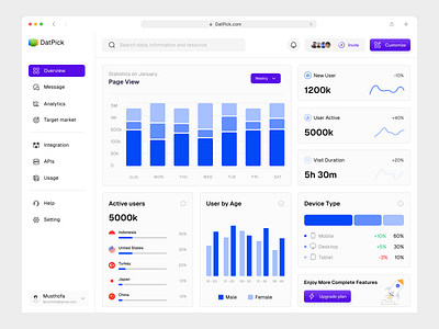 DatPick - Data Management Dashboard anlytics chart dashboard design graph saas ui ui design ux website