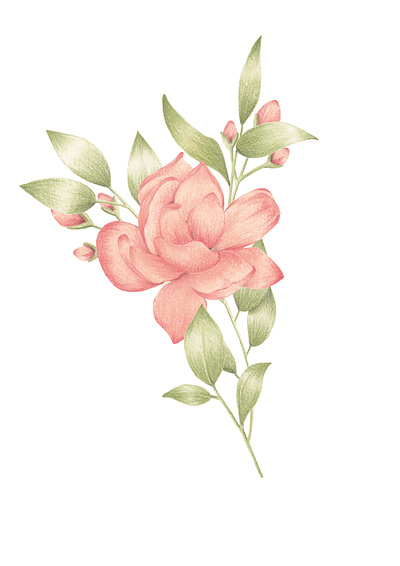 Garaizar brand design floral flores flowers illustration ilustracion logo pink shop