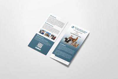 DL flyer Design | DL Brochure Design 3d animation arshunno bifold bifold brochure design branding brochure brochure design design dl brochure dl brochure designn dl flyer flyer graphic design logo motion graphics trifold trifold brochure design