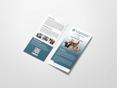 DL flyer Design | DL Brochure Design 3d animation arshunno bifold bifold brochure design branding brochure brochure design design dl brochure dl brochure designn dl flyer flyer graphic design logo motion graphics trifold trifold brochure design