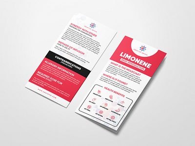 DL Flyer Design | DL Brochure Design arshunno bifold bifold brochure design branding design dl brochure design dl flyer dl flyer designn flyer flyer design graphic design illustration logo motion graphics trifold trifold brochure trifold brochure design ui ux vector