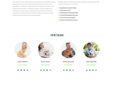 Happy Pets Trusted Pet Sitter website pet sitter website web design web development website design